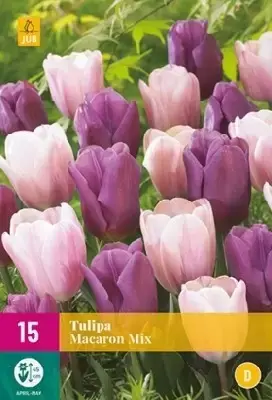 TULIPA 'Macaron Mix'