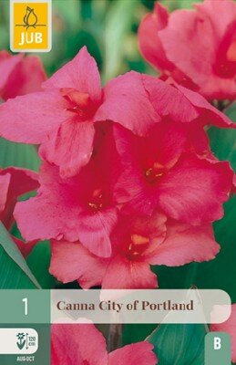 CANNA 'City of Portland'