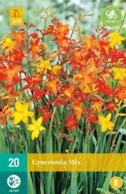 CROCOSMIA mix