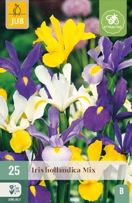 IRIS hollandica Mix