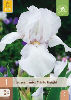 IRIS 'White Knight'