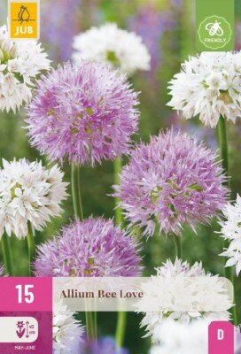 ALLIUM Bee Love