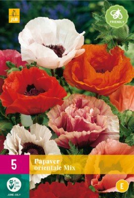 PAPAVER orientale mix