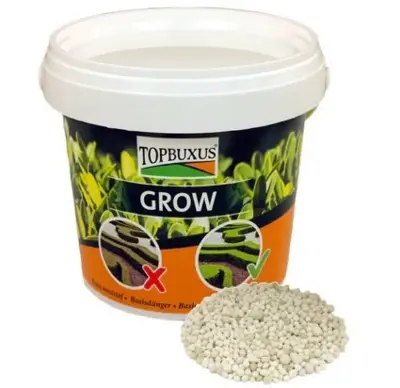 Topbuxus Grow