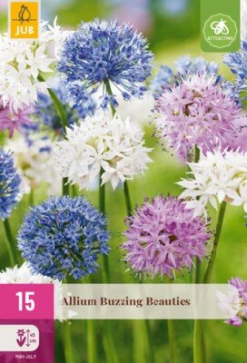 ALLIUM Buzzing Beauties - image 1
