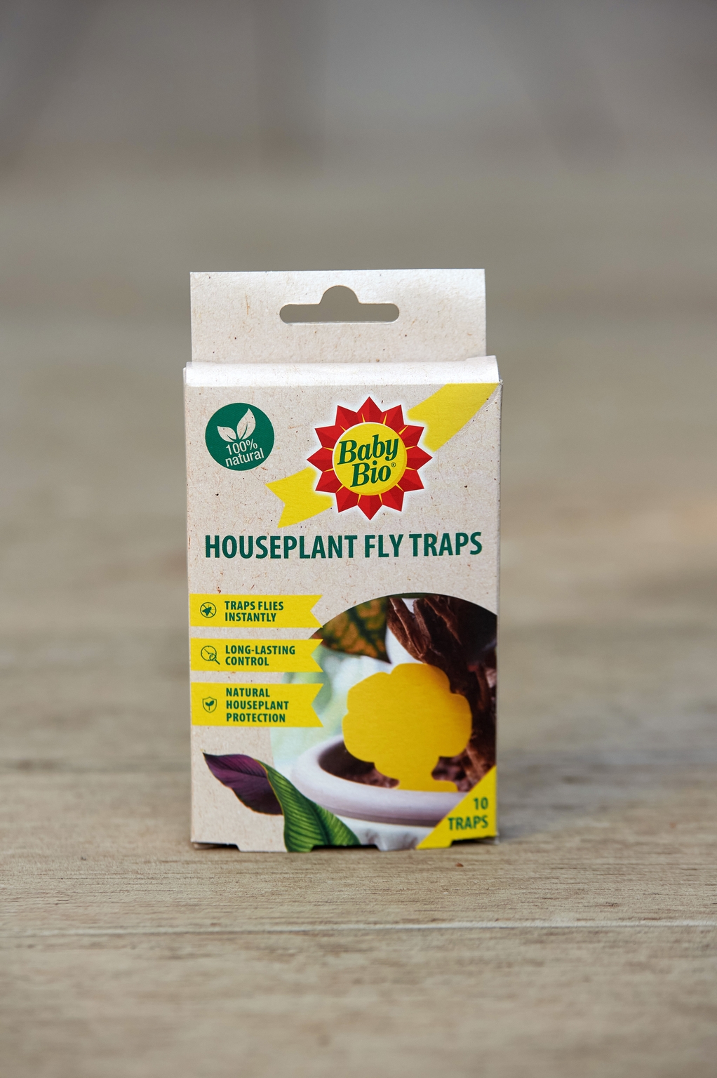 Baby Bio Houseplant Fly Traps - Provender Nurseries - Wholesale Nursery ...