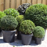 Balls, Domes & Similar Shapes