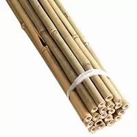 Bamboo & Split Canes