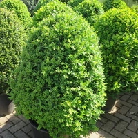 Beehives, Cubes & Cylinders