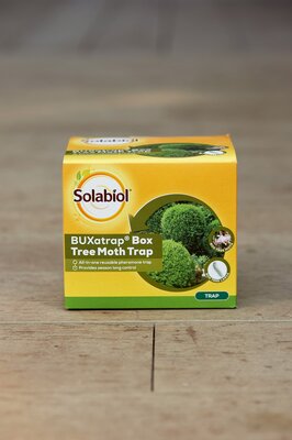 Box Tree Moth Trap
