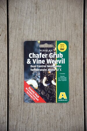 Chafer Grub & Vine Weevil Nematodes