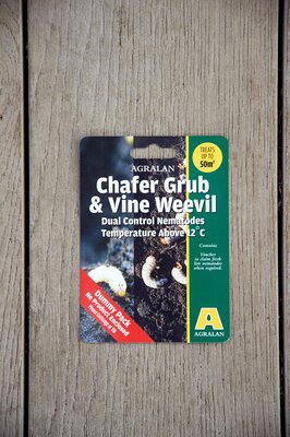 Chafer Grub & Vine Weevil Nematodes