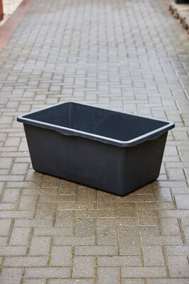 Fountain Pond Victoria Quadro 2