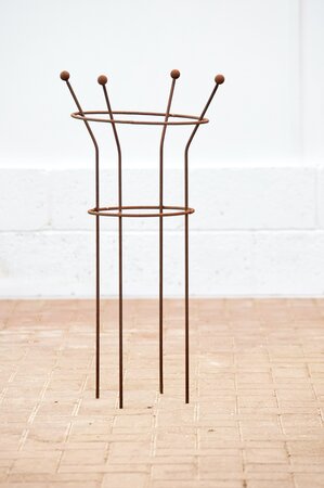 Garden Plant Support Paeonia Corten Steel