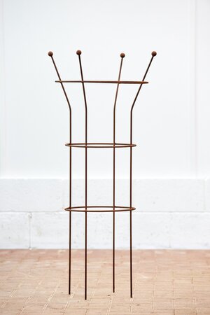 Garden Plant Support Paeonia Corten Steel