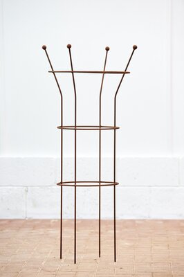 Garden Plant Support Paeonia Corten Steel