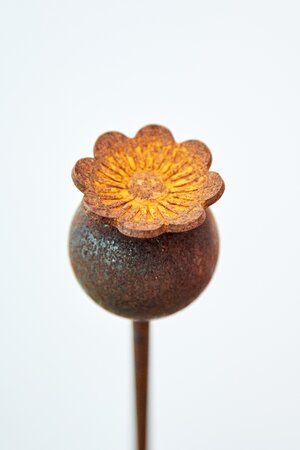 Garden Plant Support Poppy Corten Steel - image 1