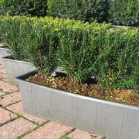 Hedging Containerised