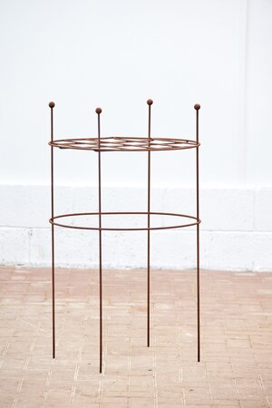 Herbaceous Plant Support Grid - image 1