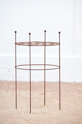 Herbaceous Plant Support Grid