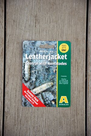 Leather Jacket Nematodes