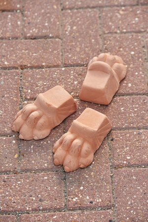 Pot Feet Lions Foot - image 1