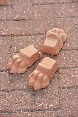 Pot Feet Lions Foot