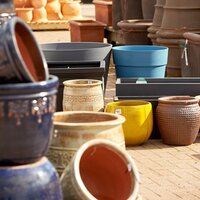 Pots, Planters & Troughs