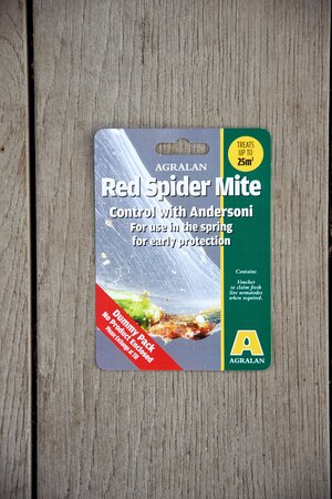 Red Spider Mite Control Spring 15C