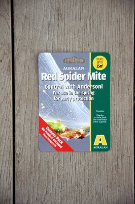 Red Spider Mite Control Spring 15C