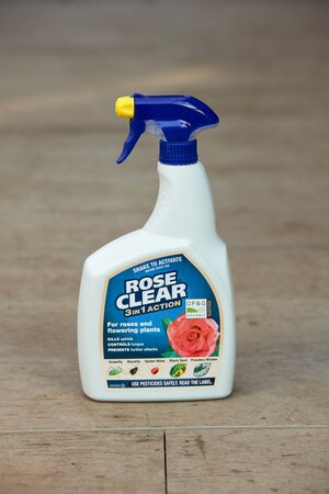 Rose Clear 3 in 1 - image 1