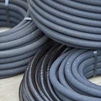 Soaker Hose & Leaky Pipes