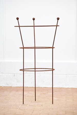 Steel Garden Plant Support Paeonia - image 1