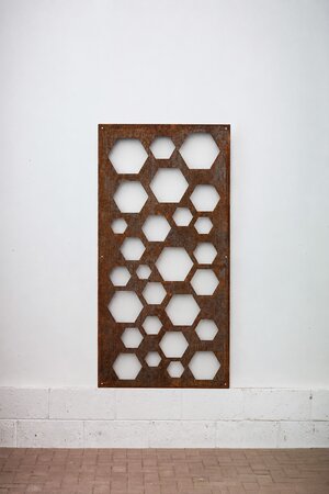 TRELLIS - Honeycomb - image 1
