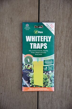 Vitax Whitefly Traps