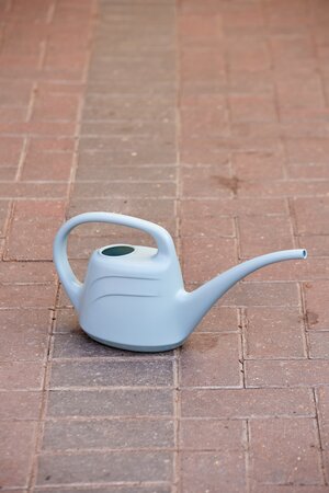 Watering Can Eden