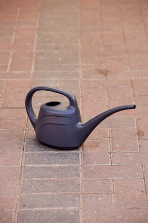 Watering Can Eden