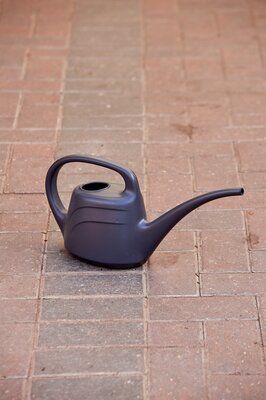 Watering Can Eden