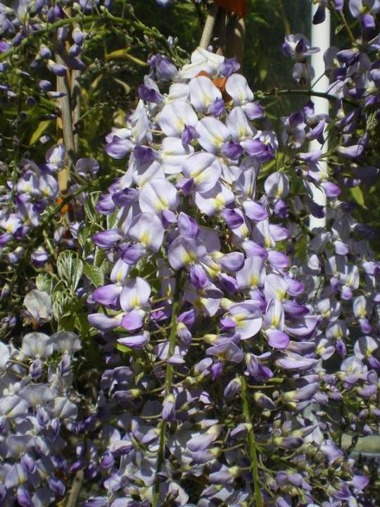 provender-product